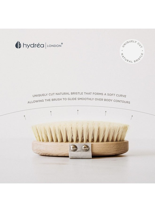 Natural Dry Body Brush - Exfoliating Dry Skin Brush With Natural Bristle, Dry Brush Cellulite Remover, Helps Improve Lymphatic Drainage - Fsc® Certified Beechwood.