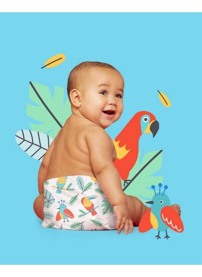 Hello Bello Diapers Club Box, Size 3 (14-24 lbs) Parrots and Dinos - 92 Count of Premium Disposable Baby Diapers, Hypoallergenic with Soft, Cloth-Like Feel