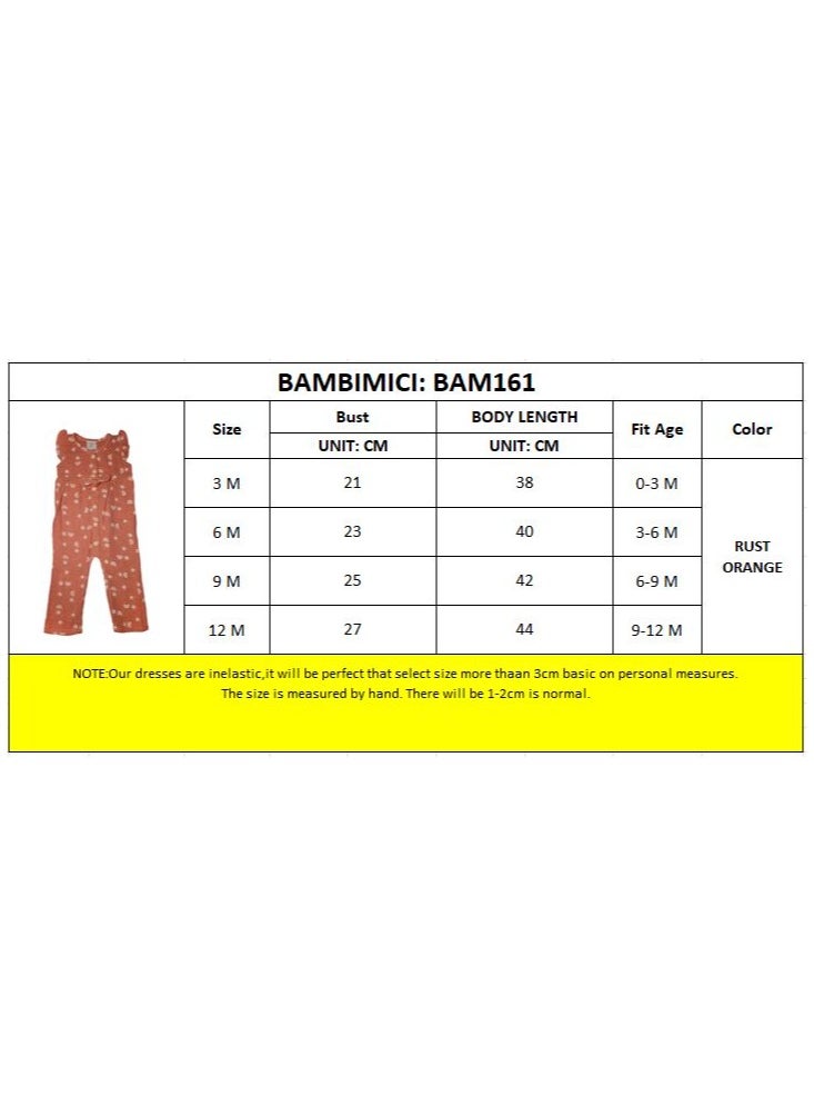 Bambimici Little Rainbow Baby Bodysuit