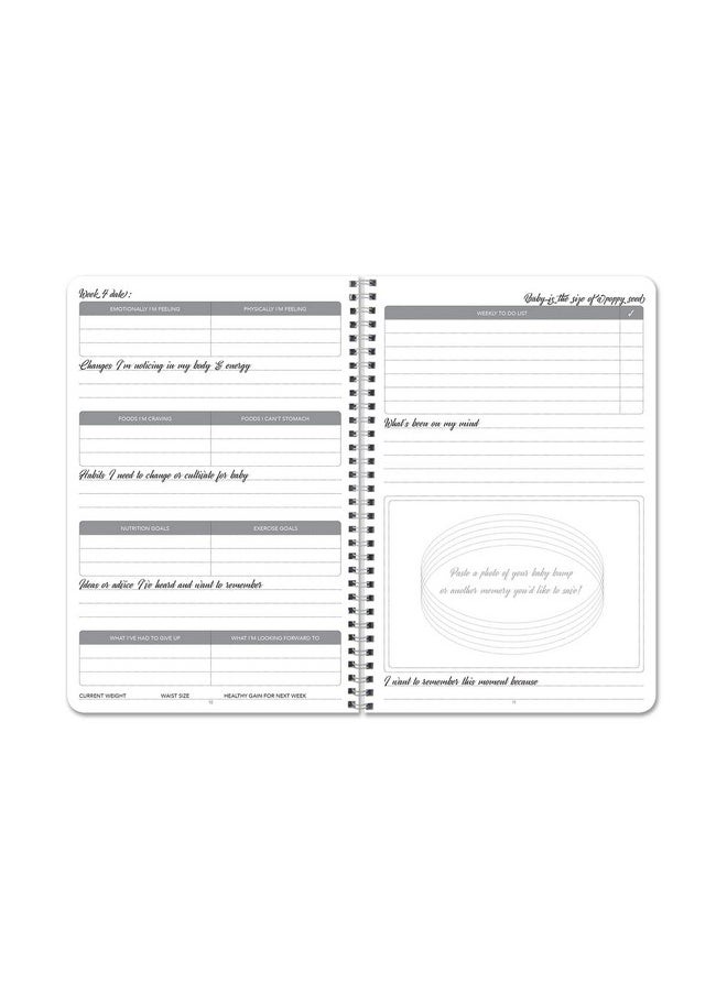 BookFactory Pregnancy Journal/Pregnancy Tracking and Memory Keepsake Log Book - Wire-O, 100 Pages, 6