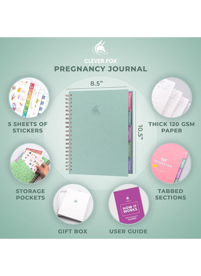 Clever Fox Pregnancy Journal & Memory Book - 9 Month Weekly Pregnancy Planner & Notebook for Expecting Moms - Pregnancy & Baby Keepsake Book - Gift for First Time Moms - Hardcover, 9x10.5″ (Mint