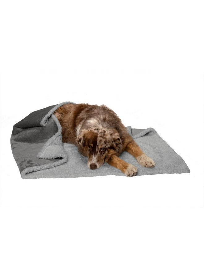 Furhaven Waterproof & Self-Warming Throw Blanket for Dogs & Indoor Cats, Washable & Reflects Body Heat - Soft-Edged Terry & Sherpa Dog Blanket - Silver Gray, Large