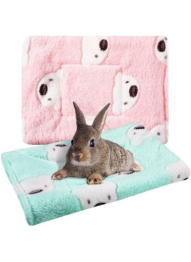 Jetec 2 Pieces Guinea Pig Bed Rabbit Bed Small Animal Hamster Warm Mats Winter Warm for Bunny Hamster Squirrel Hedgehog Chinchilla Small Animal Accessories(Green, Pink,Bear Pattern)