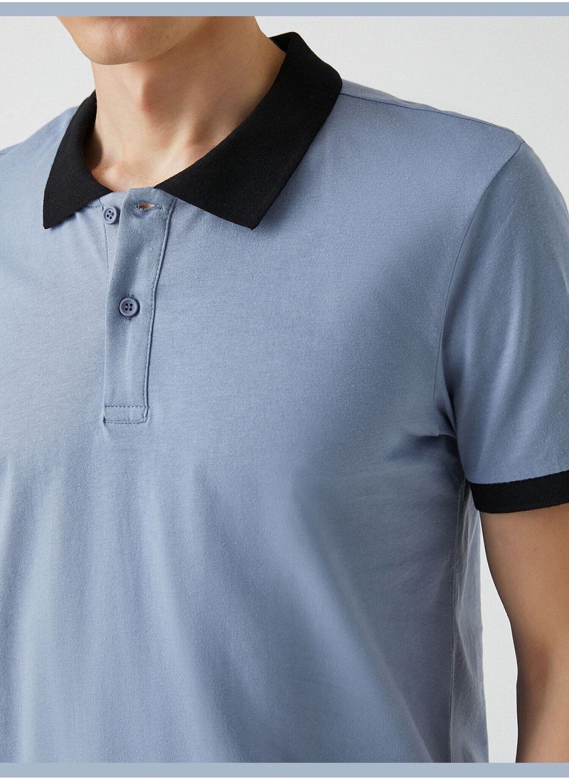 Basic Polo Neck T-Shirt