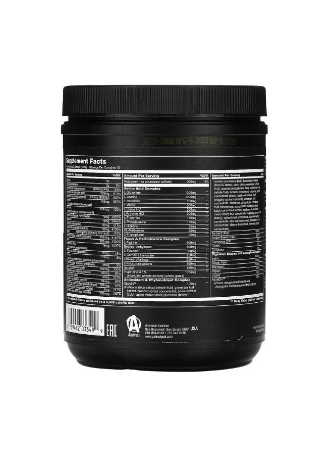 Pak Powder The Ultimate Training Foundation Fruit Punch 14.7 oz 417 g
