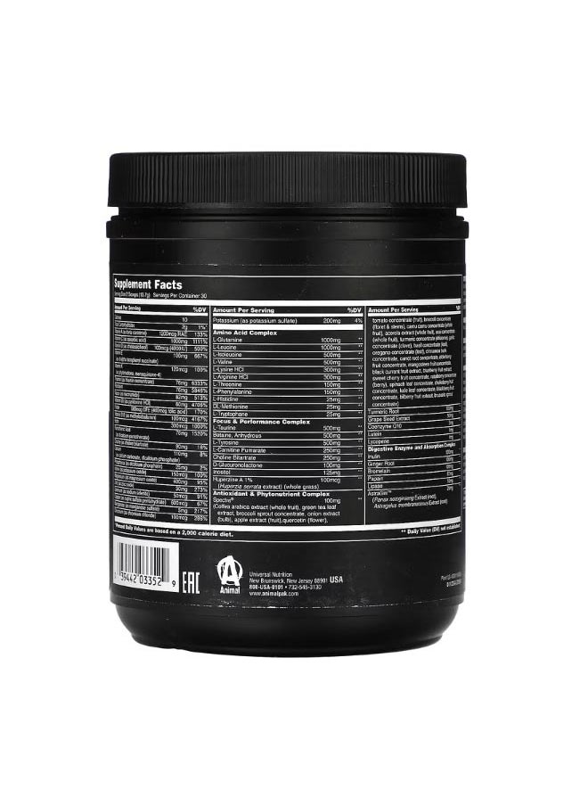Pak Powder The Ultimate Training Foundation Orange Crushed 14.5 oz 411 g