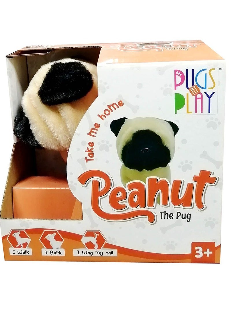 Plugs at Play - Peanut the Pug