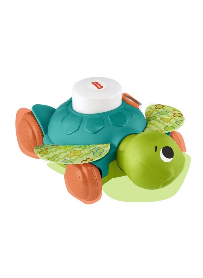 Fisher-Price Linkimals Sit-to-Crawl Sea Turtle