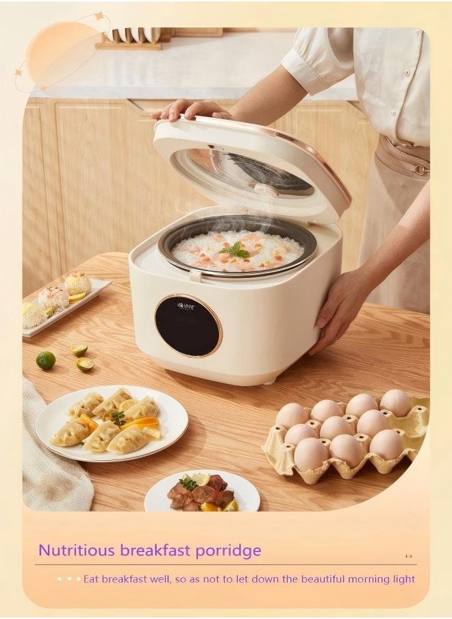 Multifunctional Rice Cooker