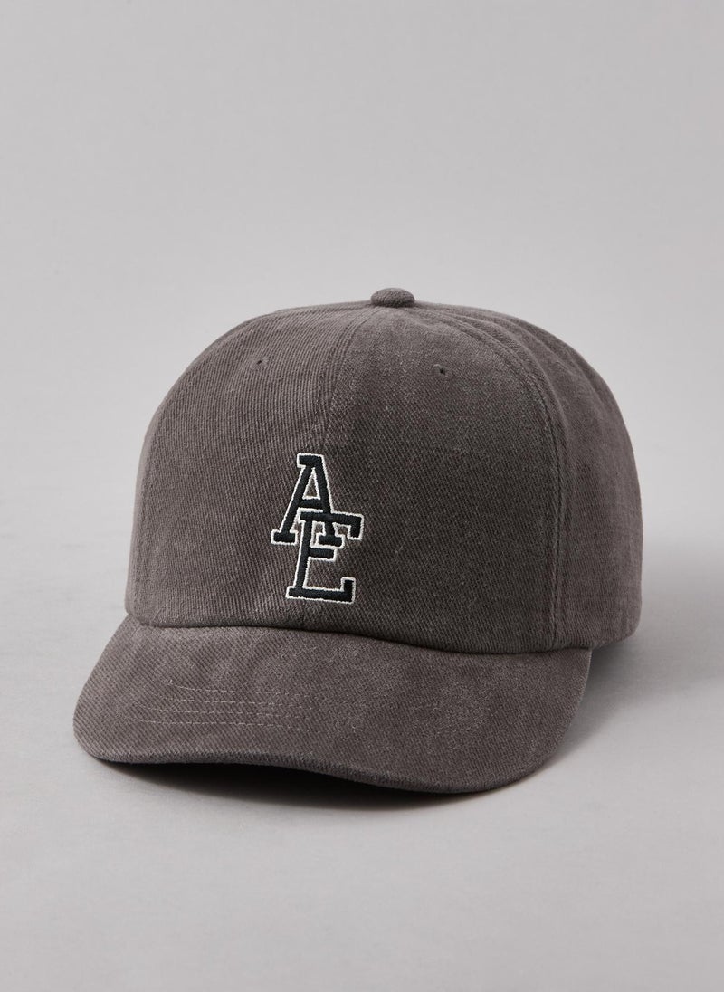 AEO Fitted Baseball Hat