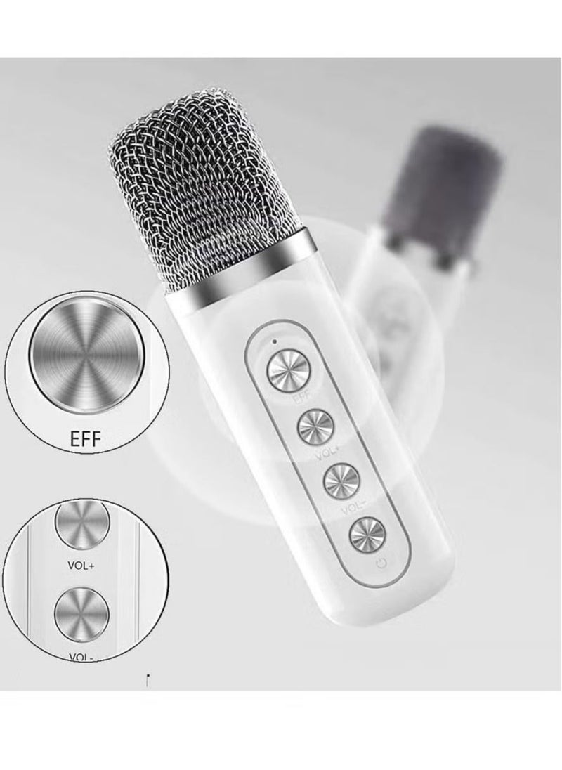 YS-219 Karaoke Machine with 2 Wireless Microphones, Portable Bluetooth Speaker with LED Lights, Built-in FM Radio, Rechargeable Battery, Perfect for Parties, Home Entertainment, Singing & Music Lovers