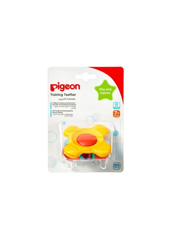 Pigeon Training Teether Step 2