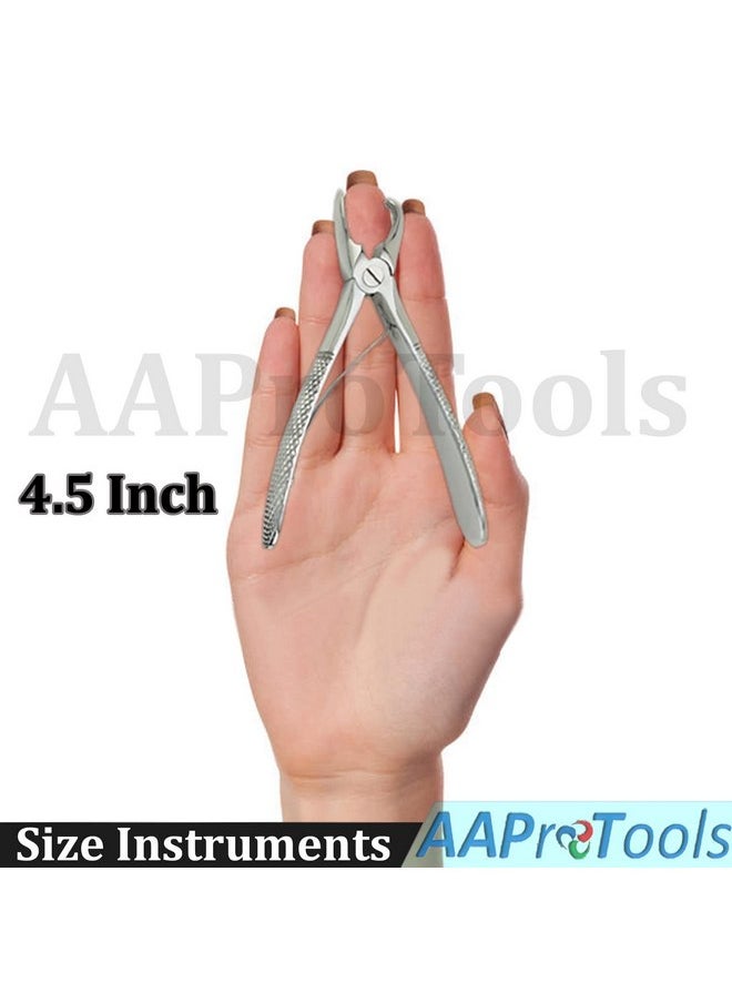 Tartar Remover Forceps Small Size 4½