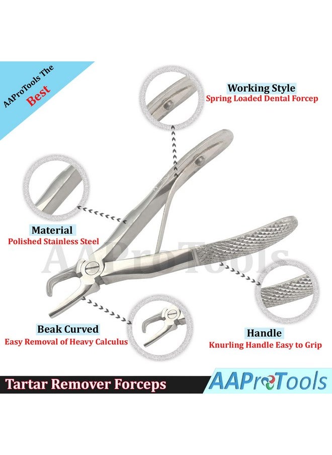 Tartar Remover Forceps Small Size 4½