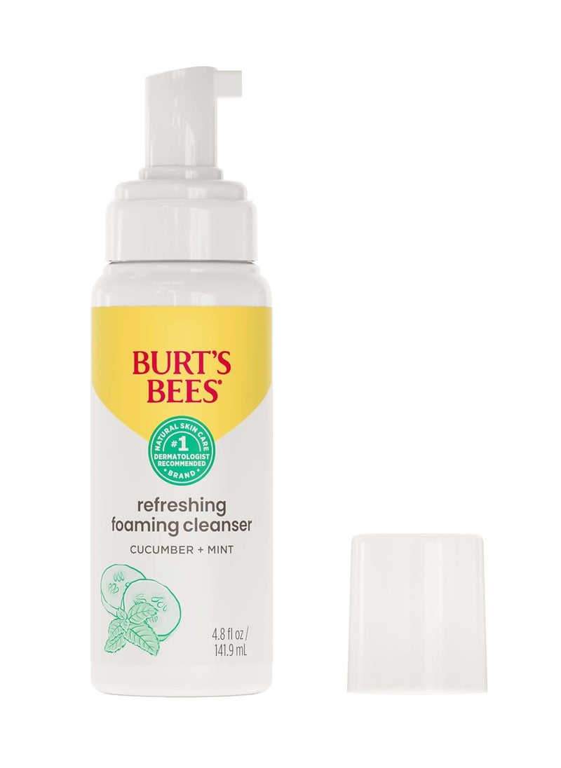 Burt's Bees Refreshing Foaming Face Cleanser and Natural Face Wash with Cucumber and Mint, 4.8 Fluid