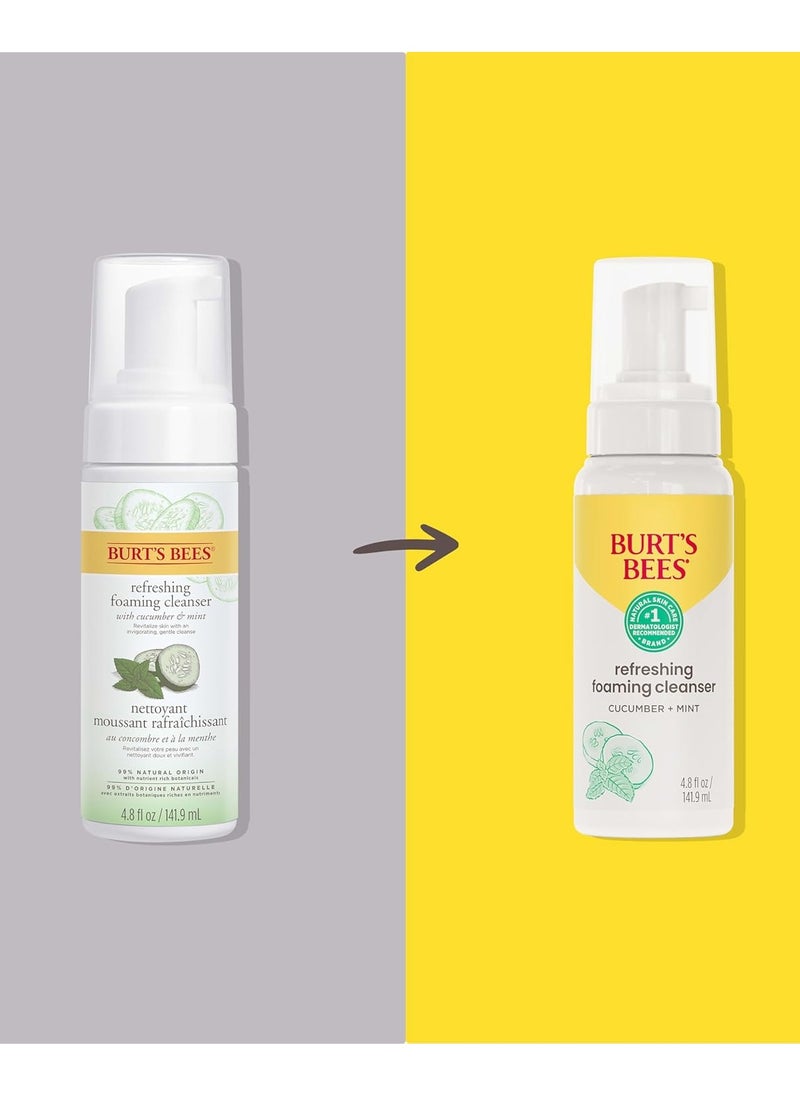 Burt's Bees Refreshing Foaming Face Cleanser and Natural Face Wash with Cucumber and Mint, 4.8 Fluid