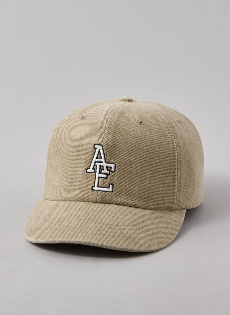 AEO Fitted Baseball Hat