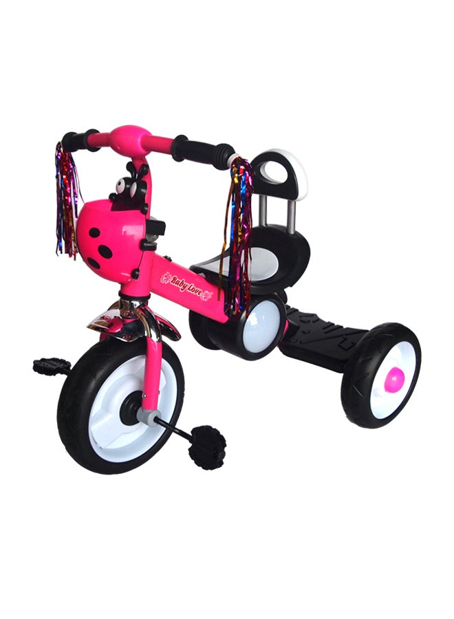 3-Wheel Tricycle