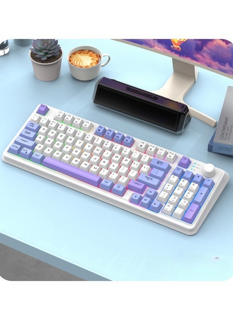 English Gaming Keyboard with RGB LED - 94-key Gaming Keyboard - ESports Mechanical Keyboard With Software For Win/Mac