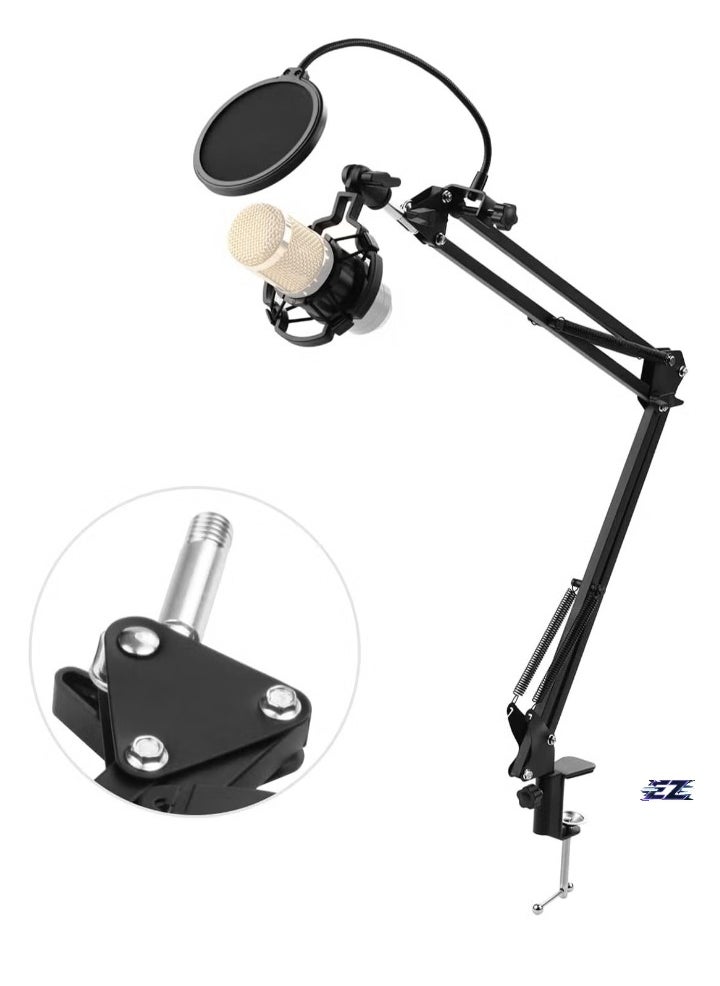 Adjustable Foldable Microphone Stand – Heavy Duty Metal Mic Arm Bracket with Shock Proof Holder, Windshield, and Pop Filter for Studio Recording, Live Video Broadcasting, and Online Singing