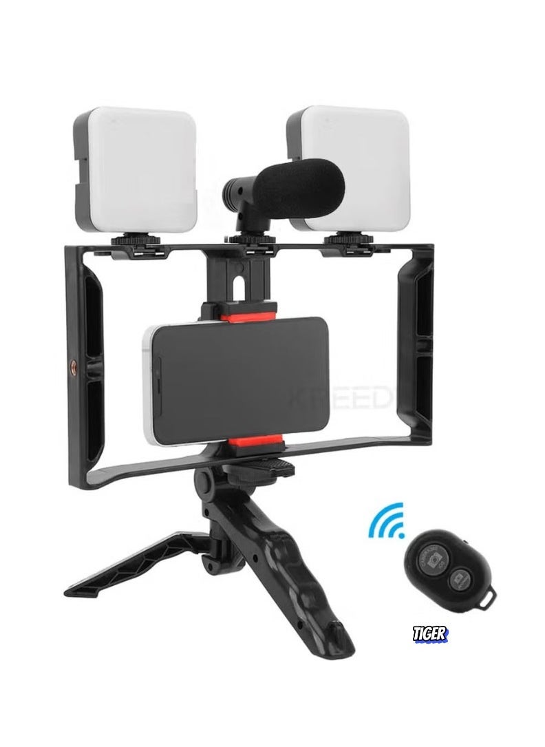 AY-49X Multi-Purpose Adjustable All-In-One Video Making Kit – Includes 2 LED Lights, Grips, and Microphone – Perfect for Vlogging, Live Streaming, and Content Creation