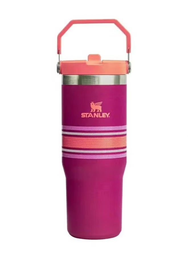 Stainless Steel Vacuum Insulated Tumbler with Lid and Straw for Water, Iced Tea or Coffee, Smoothie and More, 30 oz