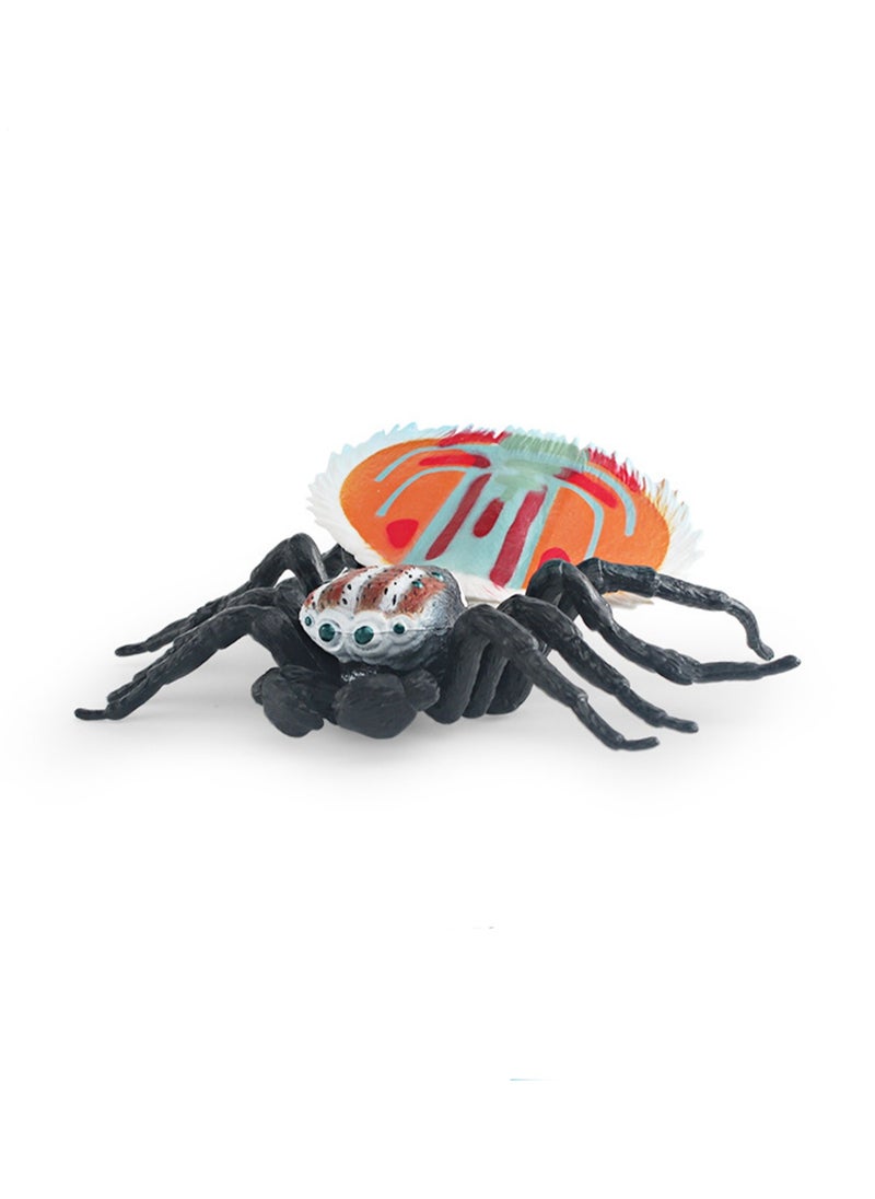 Simulation Insect Animal Spider Model Static Cognitive Desktop Ornament Toy (PL127-2878 Peacock Spider)