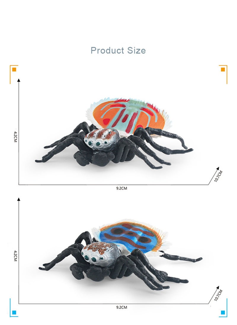 Simulation Insect Animal Spider Model Static Cognitive Desktop Ornament Toy (PL127-2879 Peacock Spider)