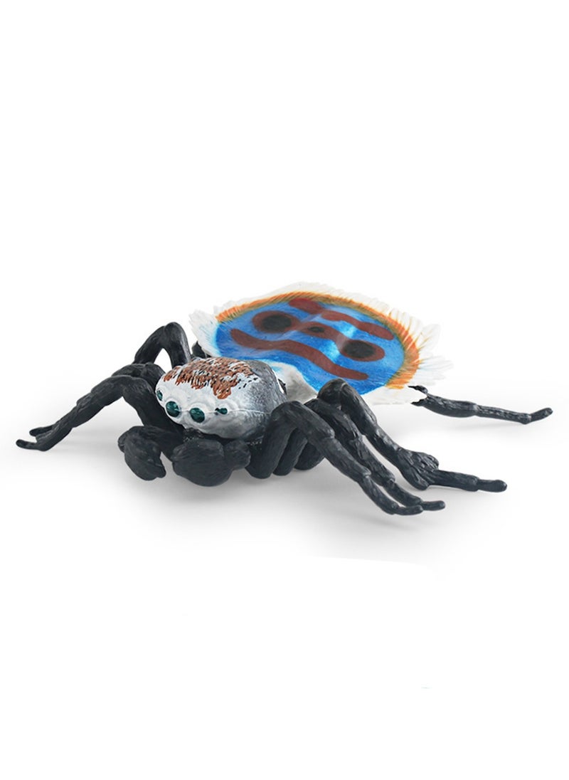 Simulation Insect Animal Spider Model Static Cognitive Desktop Ornament Toy (PL127-2879 Peacock Spider)