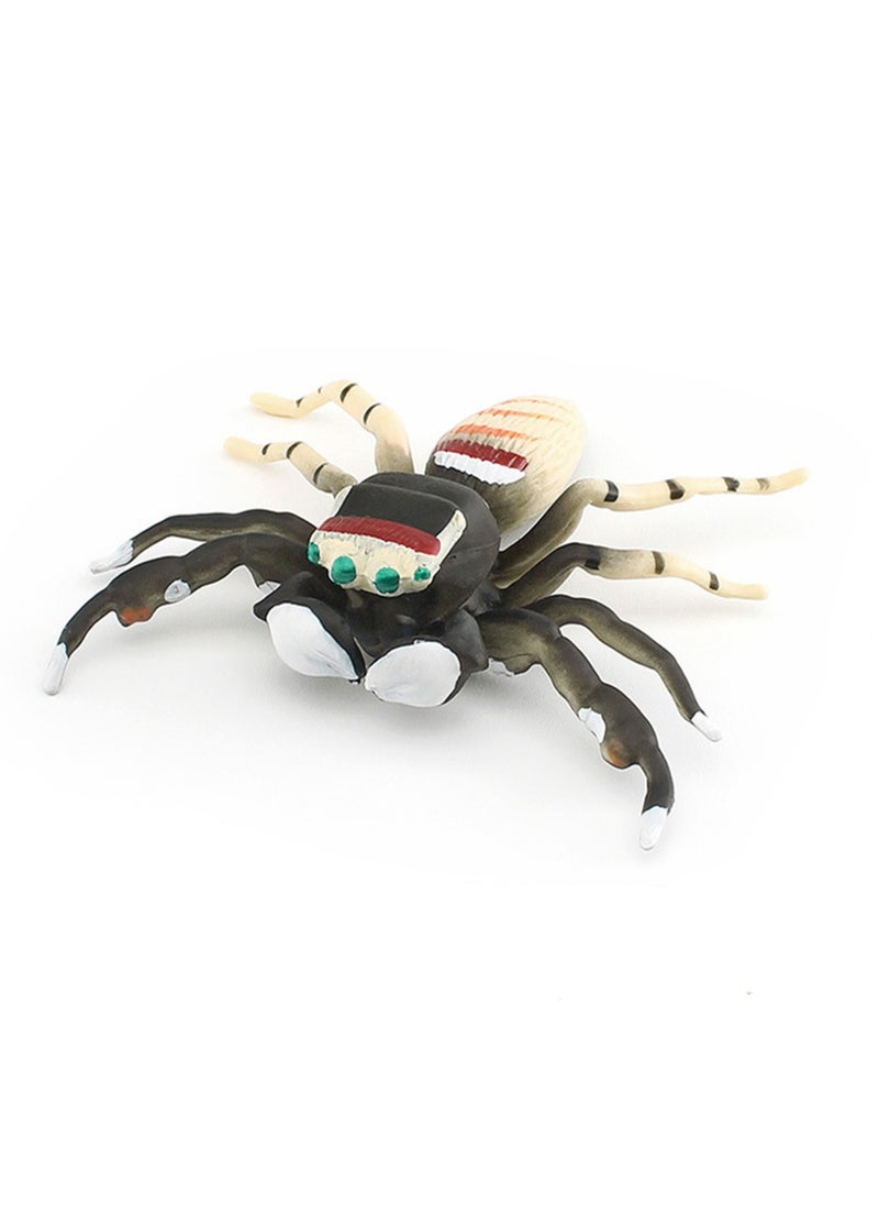 Simulation Insect Animal Spider Model Static Cognitive Desktop Ornament Toy(Striped fly spider)