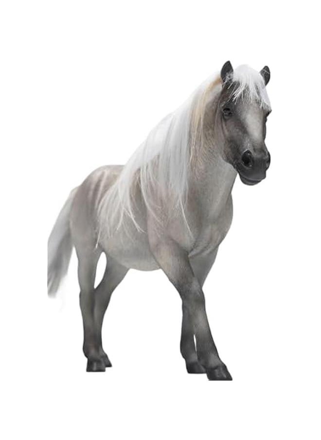 JXK Collectible Horse Figure: Black and White Mongolian Horse, Expertly Hand-Painted, Lifelike, Safe Resin, 1:6 Scale Miniature Animal Figurine MGM165A5