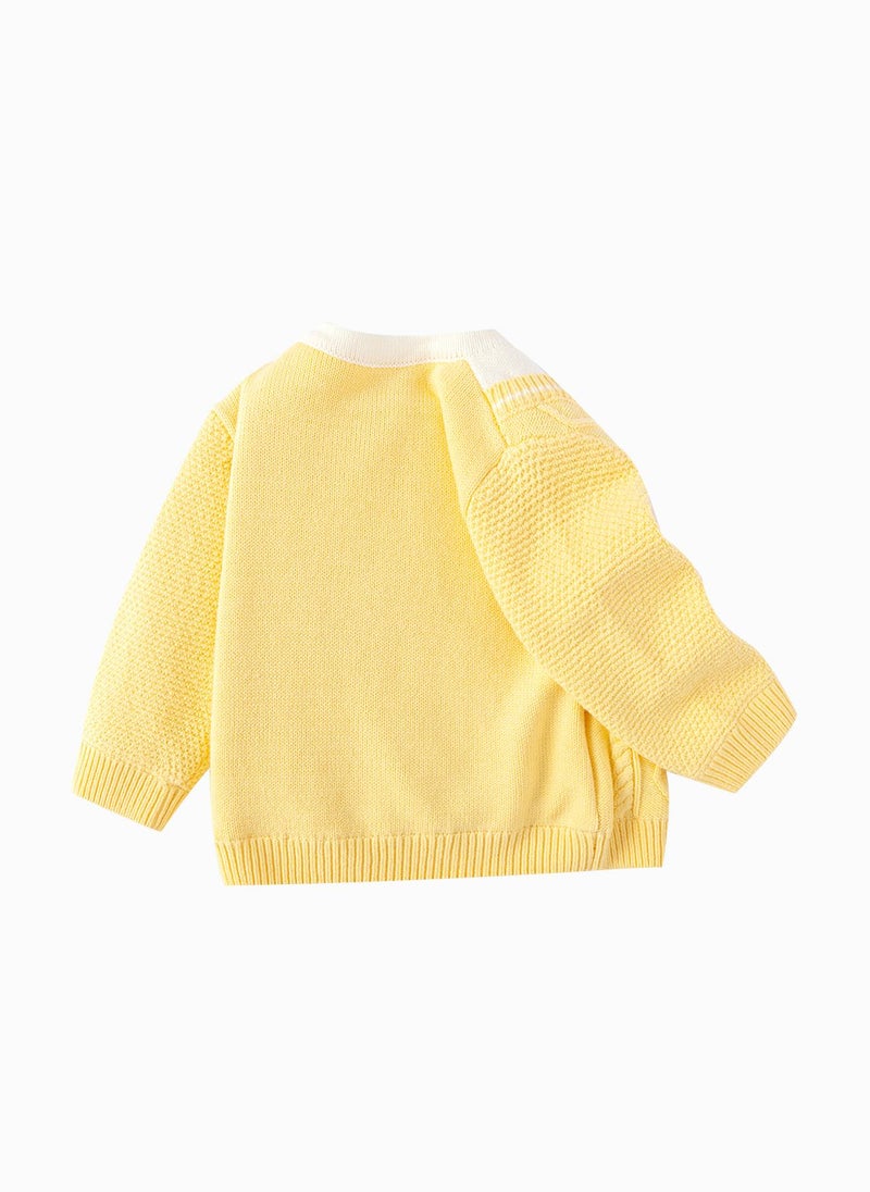 Baby Boy Round neck sweater