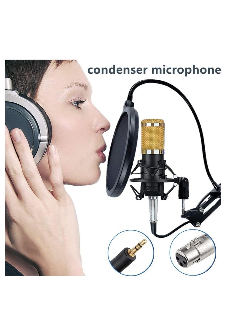 Podcast Equipment Bundle, BM-800 Mic Kit with Live Sound Card, Adjustable Mic Suspension Scissor Arm, Metal Shock Mount and Double-Layer Pop Filter for Studio Recording & Broadcasting (Gold)