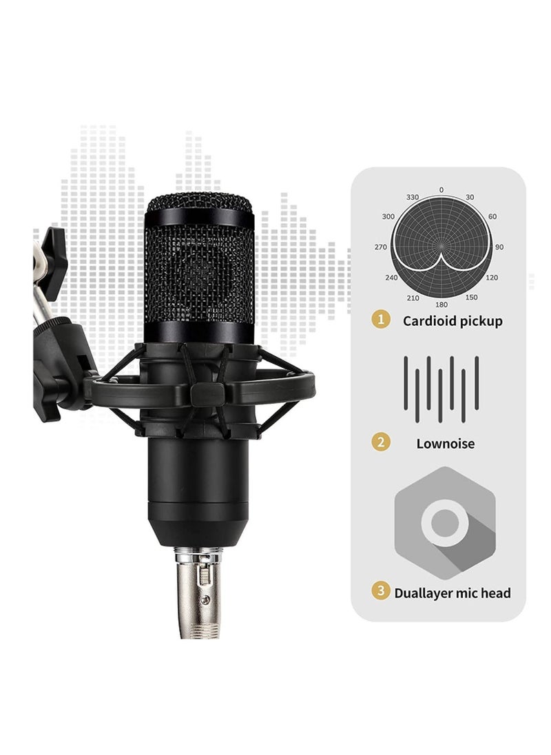 Podcast Equipment Set, BM-800 Mic Kit with V8 Live Sound Card, Condenser PC Gaming Mic with Professional Audio Mixer, Prefect for Streaming, Computer, Singing, Youtube, Recording (BLACK)