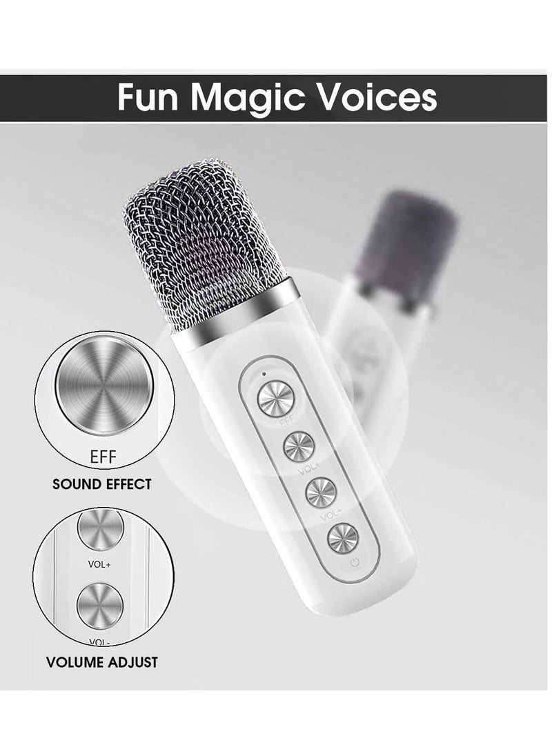 Karaoke Machine with 2 Wireless UHF Microphones – Portable Bluetooth Speaker System for Adults and Children, Voice Cutting Feature, Perfect for Parties, Meetings, Weddings & Churches