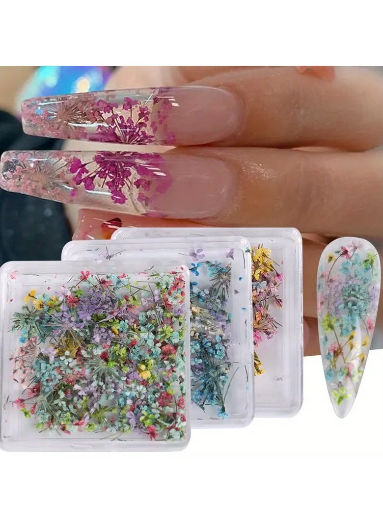 Mixed Dried Flower Nail Charms  Vibrant Spring Summer Decorations for DIY Crafts Nail Art and Manicure Perfect for Creative Projects and Beauty Enthusiasts