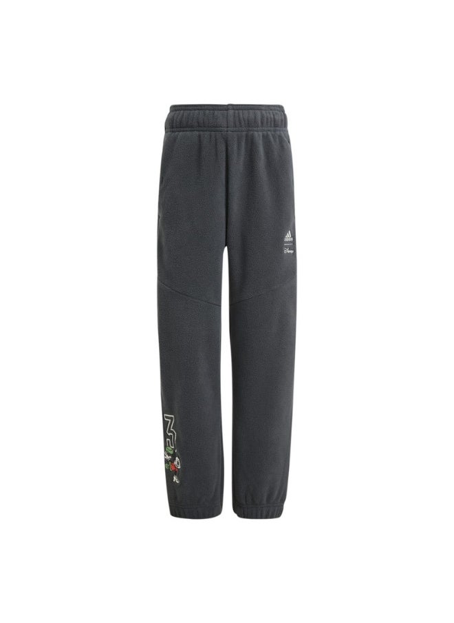 adidas Lk Dy Mm Wi Pnt Grey Training Pants 1824