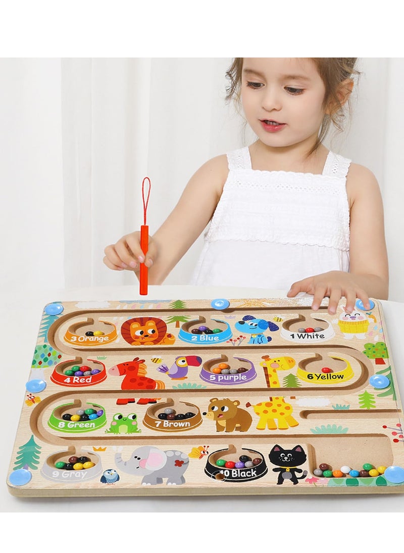 Educational Toys Montessori Toys Hand-Eye Coordination Time Killer Baby Toys Boys Girls Building Blocks Fingertip Training Magnets Number and Color Matching Birthday Gift Fine Manipulation Educational Toys for 4-6 Years Old