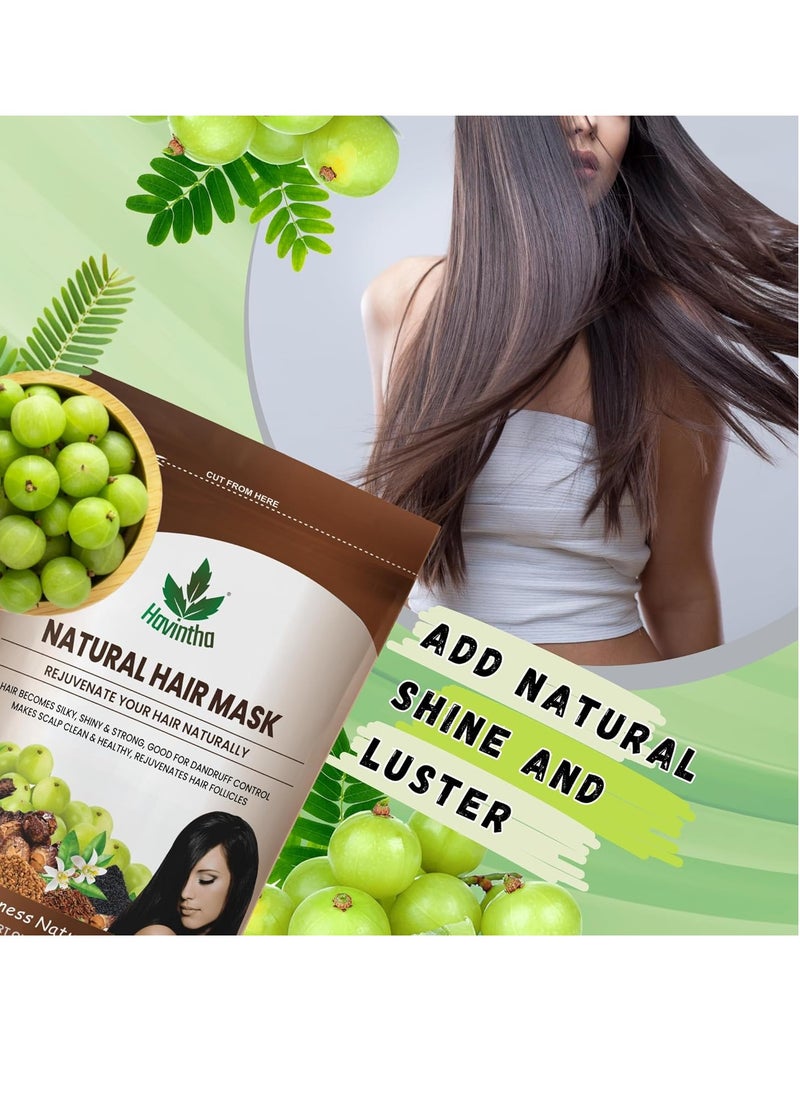 Havintha Hair Mask For Hair Fall Growth Split Ends Luster Shining Nourishment | Hair Mask for Dry and Frizzy Hair | Herbal Hair Mask & Natural Cleanser| Controls Dandruff Hair Mask - 227 Grams - Fresh