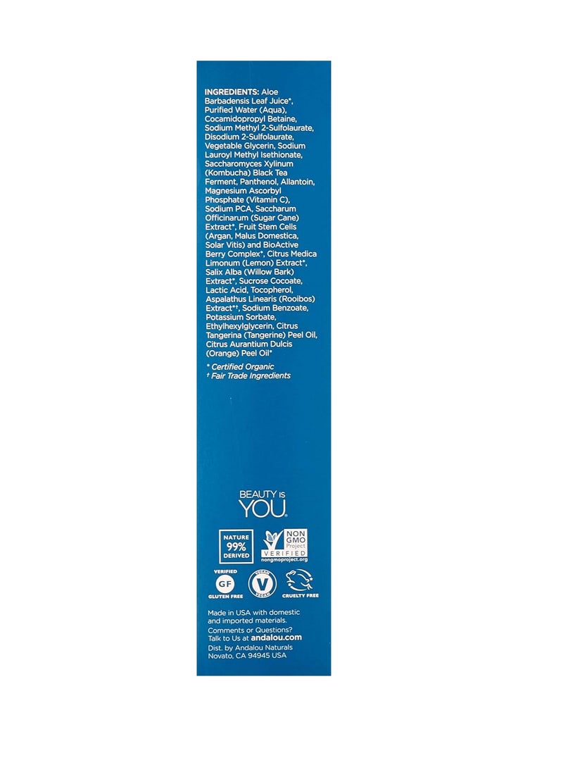 Andalou Naturals Cleansing Gel, Citrus Kombucha, 6 Fl Oz