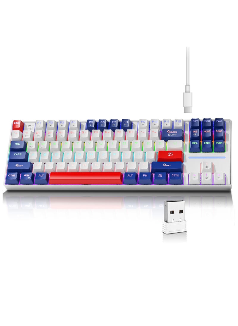 87 Keys Mechanical Keyboard - Hot Swap - Blue Switch - 2.4GHz/Bluetooth/Type-C Wired - Gaming Keyboard - Office Keyboard - RGB Lighting Effect - Computer Keyboard(Blue)