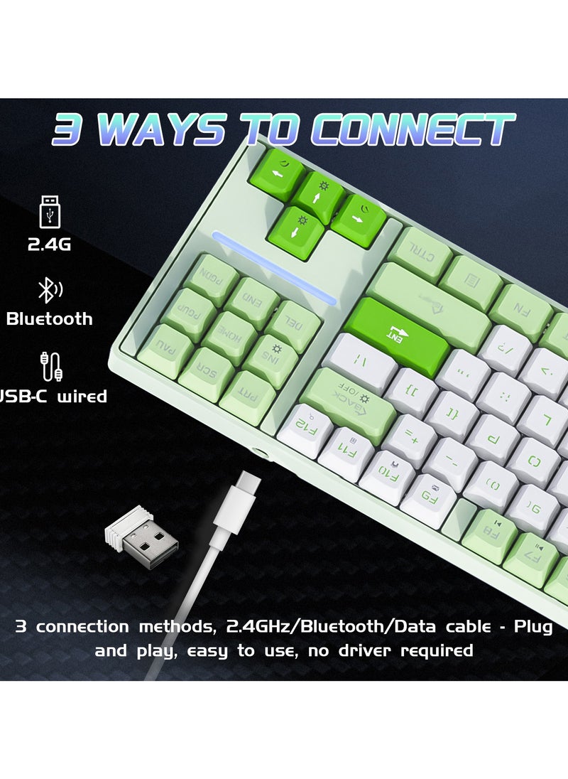 87 Keys Mechanical Keyboard - Hot Swap - Blue Switch - 2.4GHz/Bluetooth/Type-C Wired - Gaming Keyboard - Office Keyboard - RGB Lighting Effect - Computer Keyboard(Green)