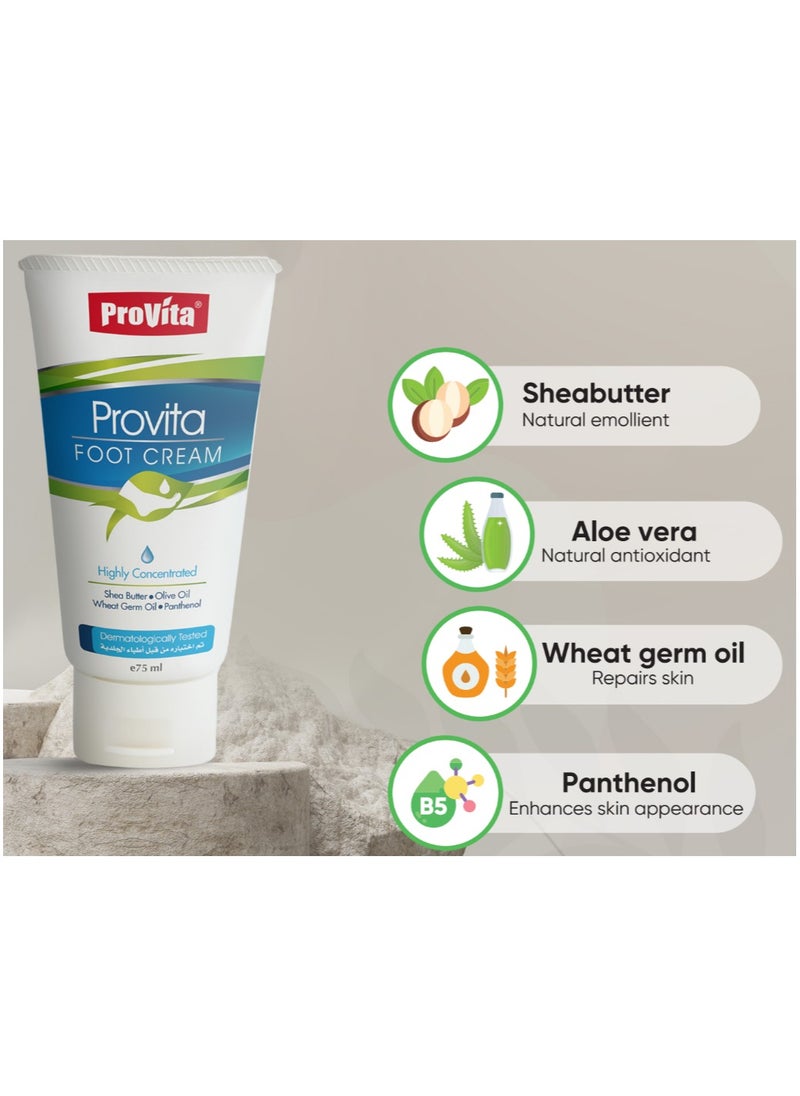 PROVITA FOOT CREAM With Shea Butter Aloe Vera Wheat Germ Oil and Panthenol 75 ML