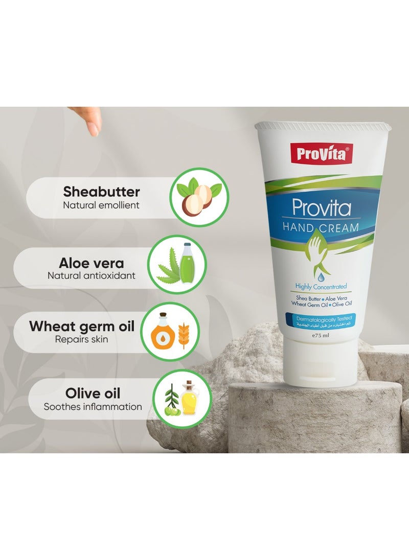 PROVITA HAND CREAM With Shea Butter Aloe Vera Wheat Germ Oil and Olive Oil 75 ML