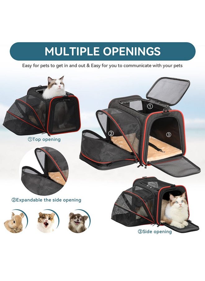 Petsfit Expandable Cat Carrier Dog Carriers,Airline Approved Soft-Sided Portable Pet Travel Washable Carrier for Kittens,Puppies,Removable Soft Plush mat and Pockets,Locking Safety Zippers