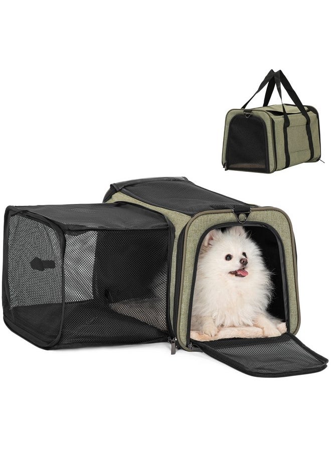 Petsfit Top Load Expandable Dog Carrier for Small Dog, Medium Cat, Or 2 Small Cats with Comfy Pad, Escape Proof, Easy Storage, Washable, Fit for Vet Visit and Outdoor, 19