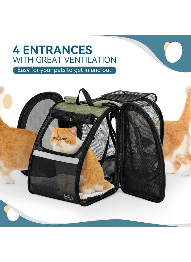 Petsfit Cat Backpack Carrier,Dog Carrier Backpacks Expandable with Great Ventilation,Fleece Mat,Perfect for Hiking,Camping Hold Pets Under 22 lbs