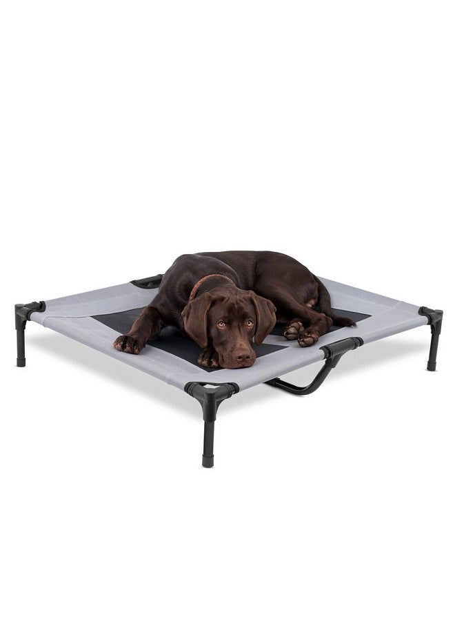 Internet's Best Dog Cot - 36 x 30 - Elevated Dog Bed - Cool Breathable Mesh - Indoor or Outdoor Use - Medium - Grey