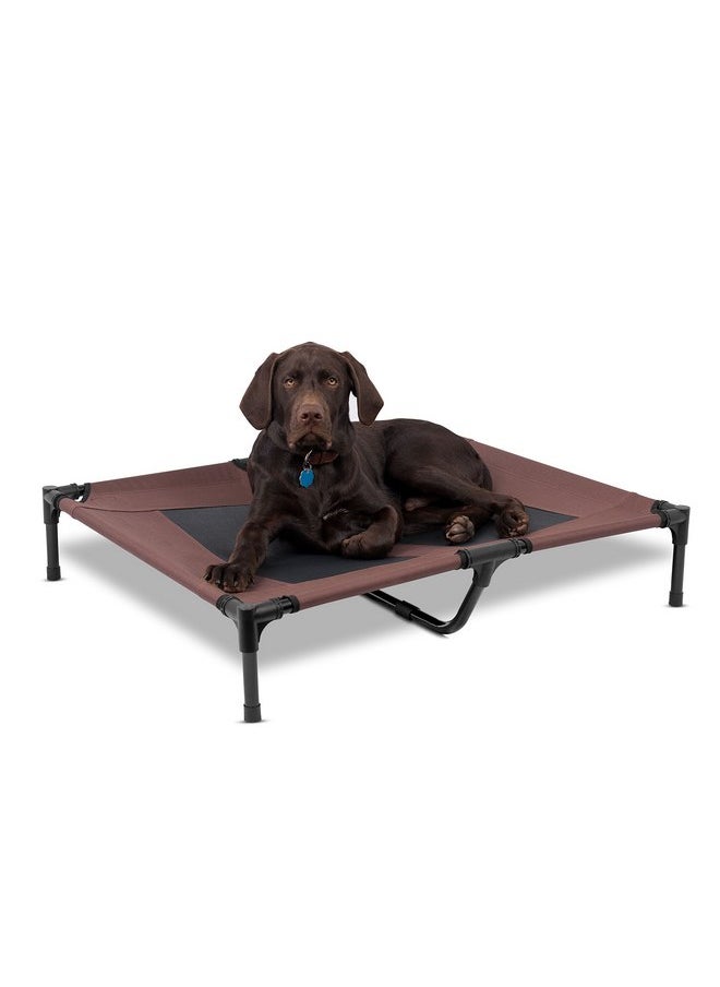 Internet's Best BIRDROCK Home Dog Cot - 36 x 30 - Elevated Dog Bed - Cool Breathable Mesh - Indoor or Outdoor Use - Medium - Brown