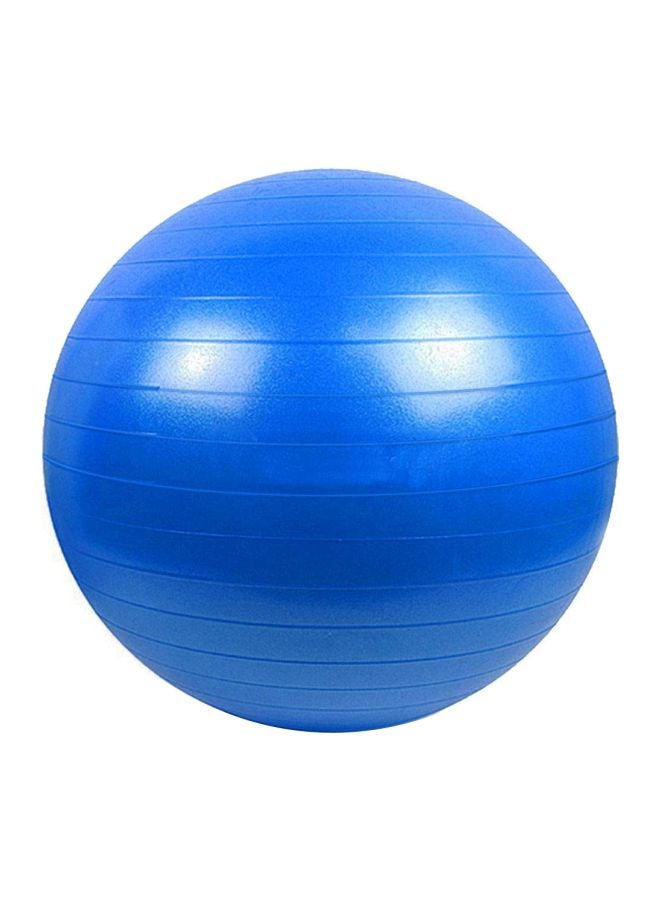 Balance Training Swiss Ball With Air Pump Set 65cm